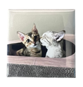 Custom Photo Magnets