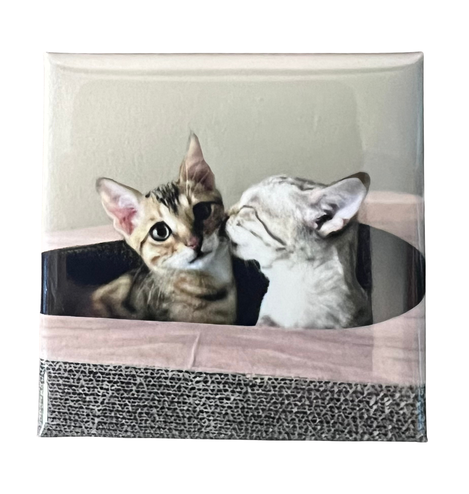 Custom Photo Magnets